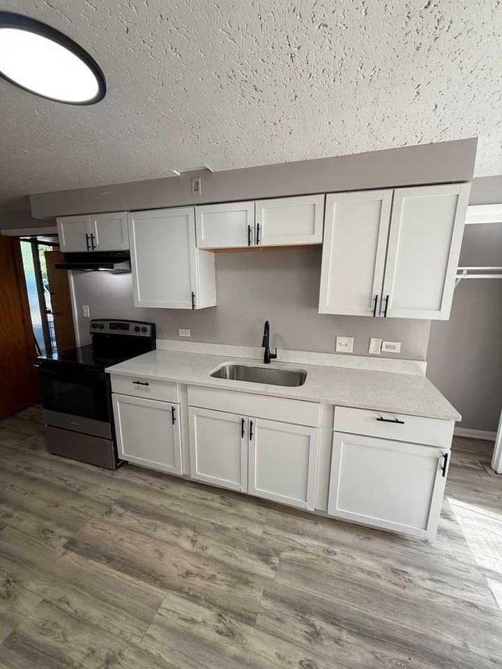 10604 S Walden Parkway - Photo 7 of 17