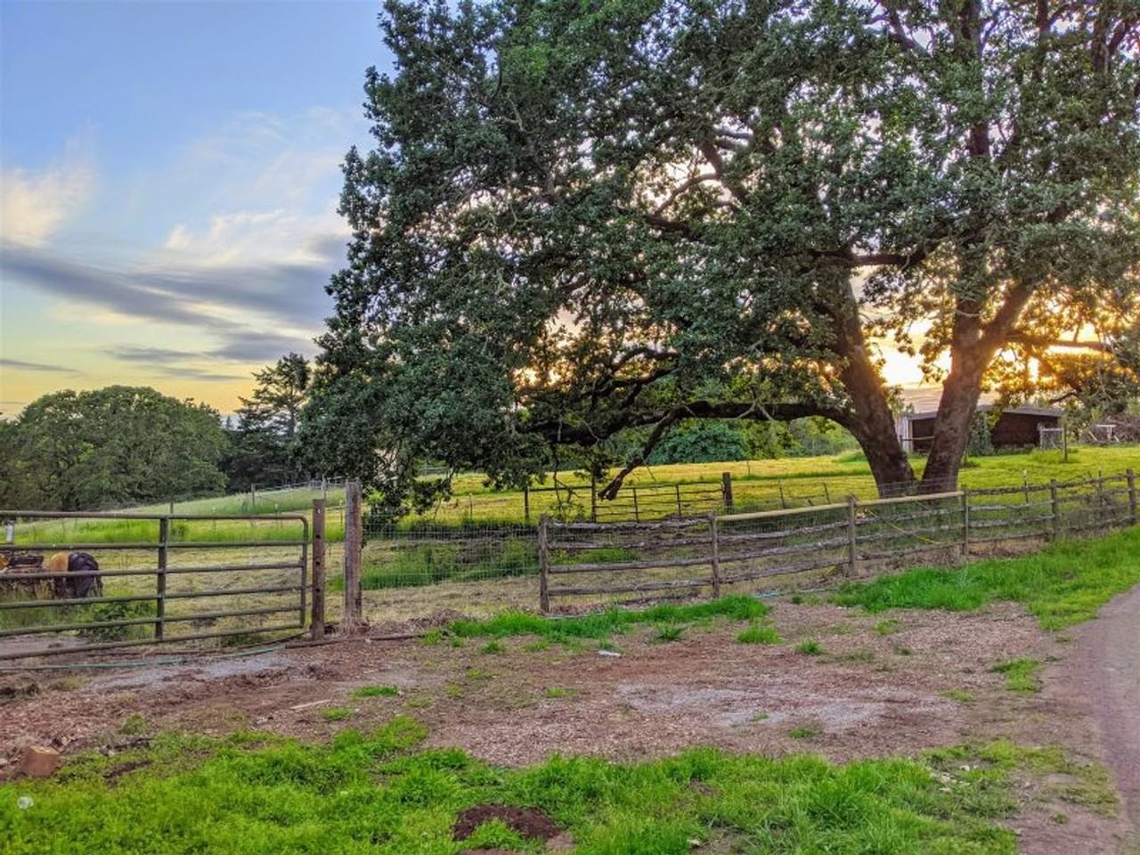 20600 20600 NW Kings Grade Road - Photo 5 of 39
