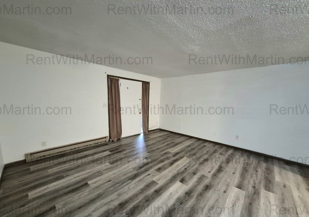 1009 Thorndale Ave - Photo 3 of 19