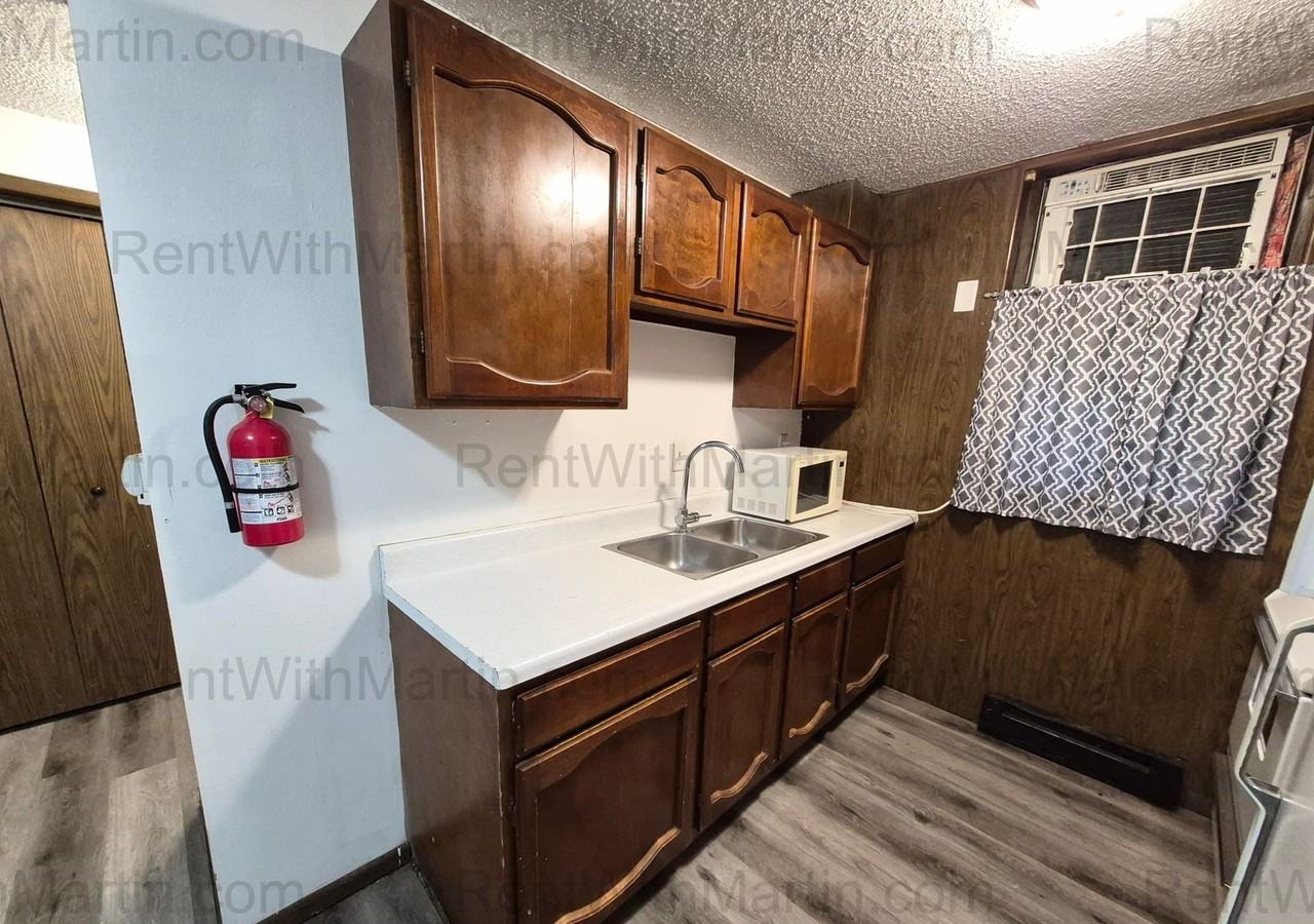 1009 Thorndale Ave - Photo 5 of 19