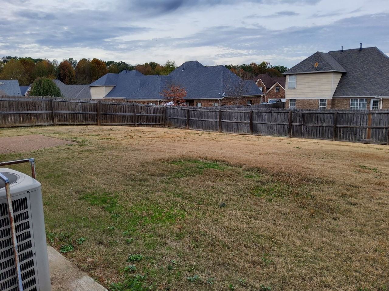 8898 Rasco Hills Cv - Photo 4 of 24