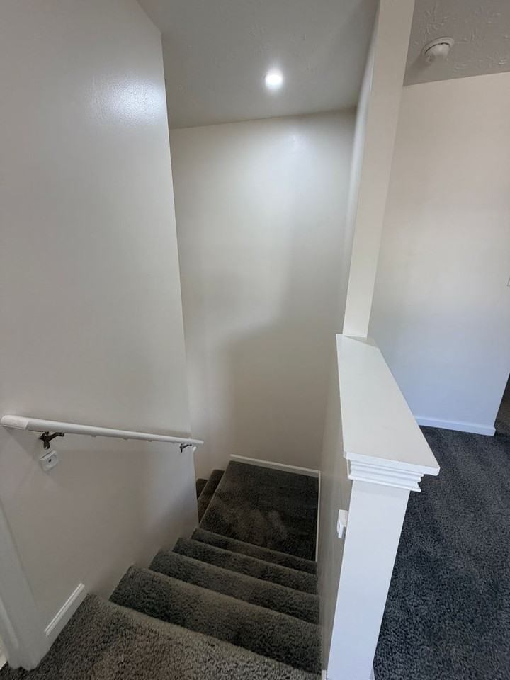 1008 Balto Dr - Photo 6 of 20