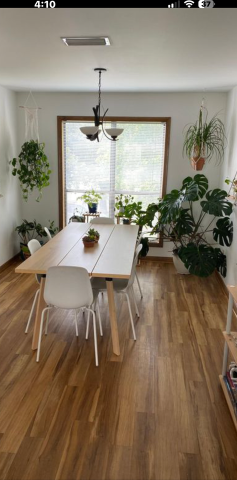 2913 Bente Way #2913 - Photo 3 of 3