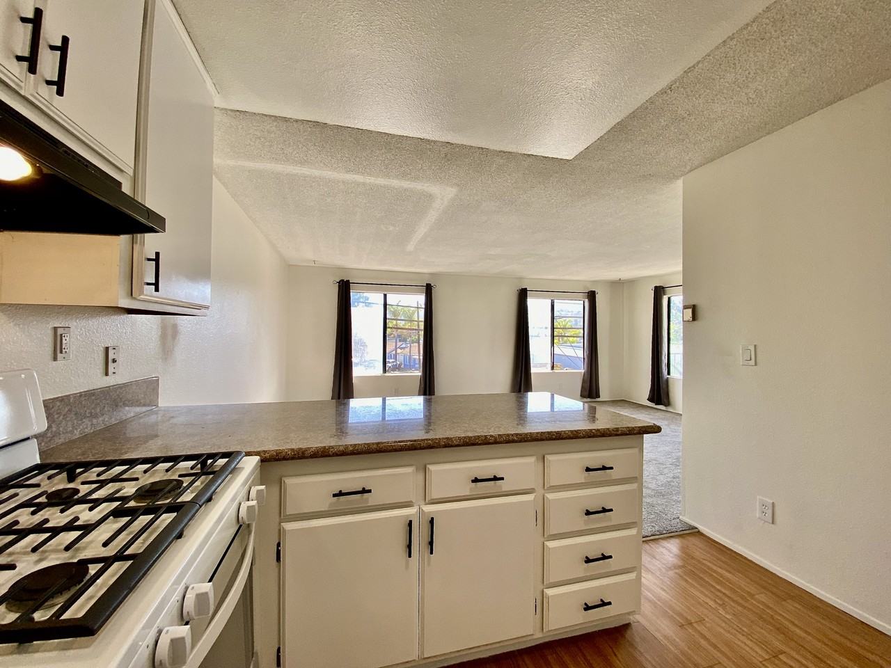 8965 Switzer Dr #4 - Photo 5 of 10