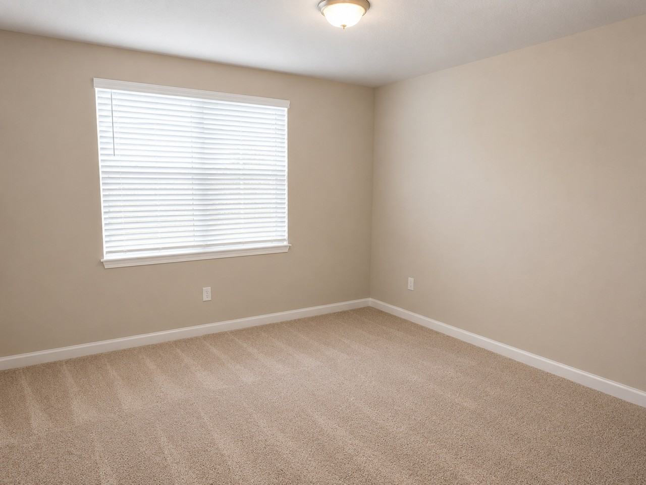 1343 Benevento Dr #1 - Photo 7 of 23
