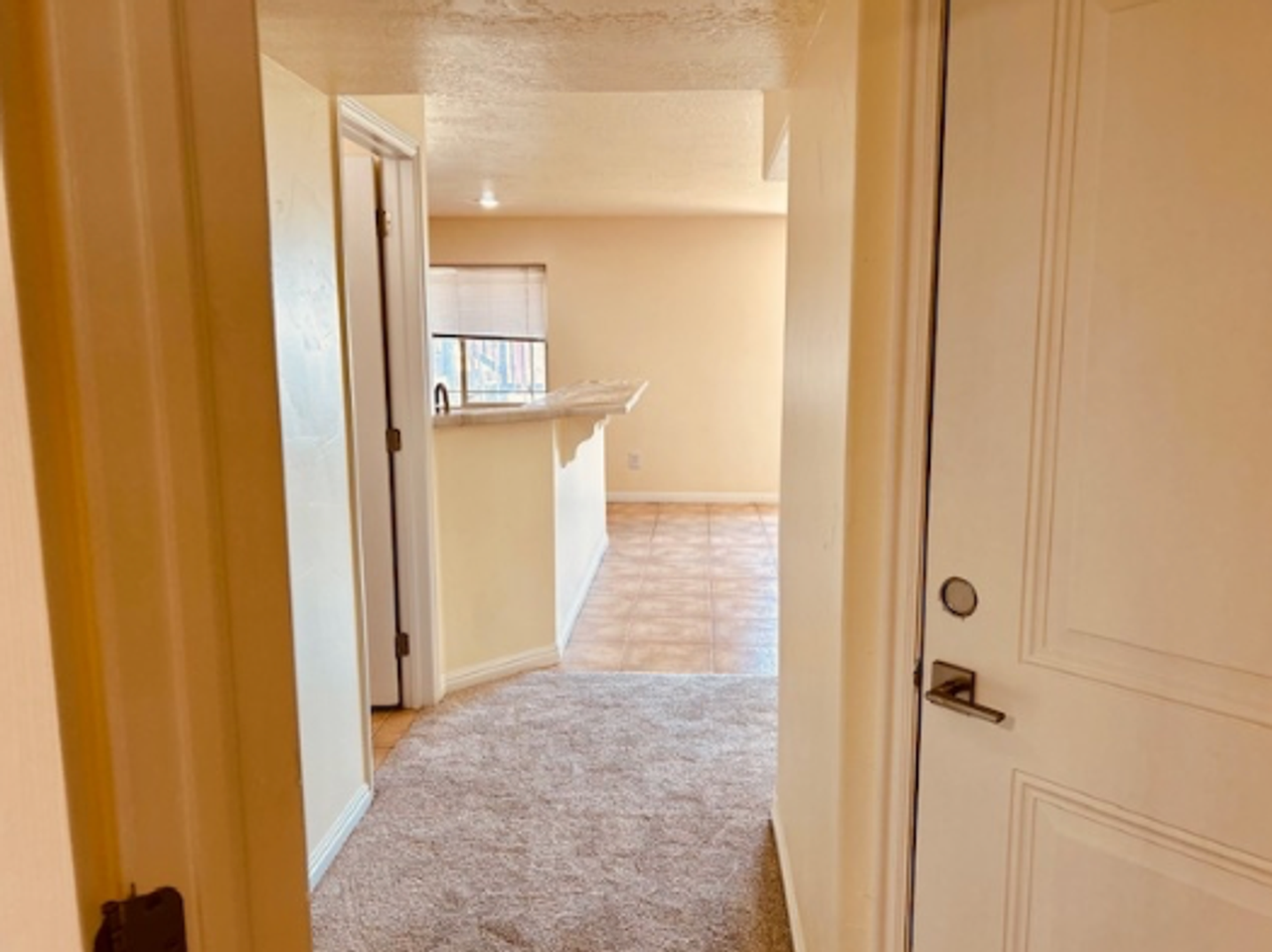 3988 S Lake Vista Dr - Photo 6 of 17