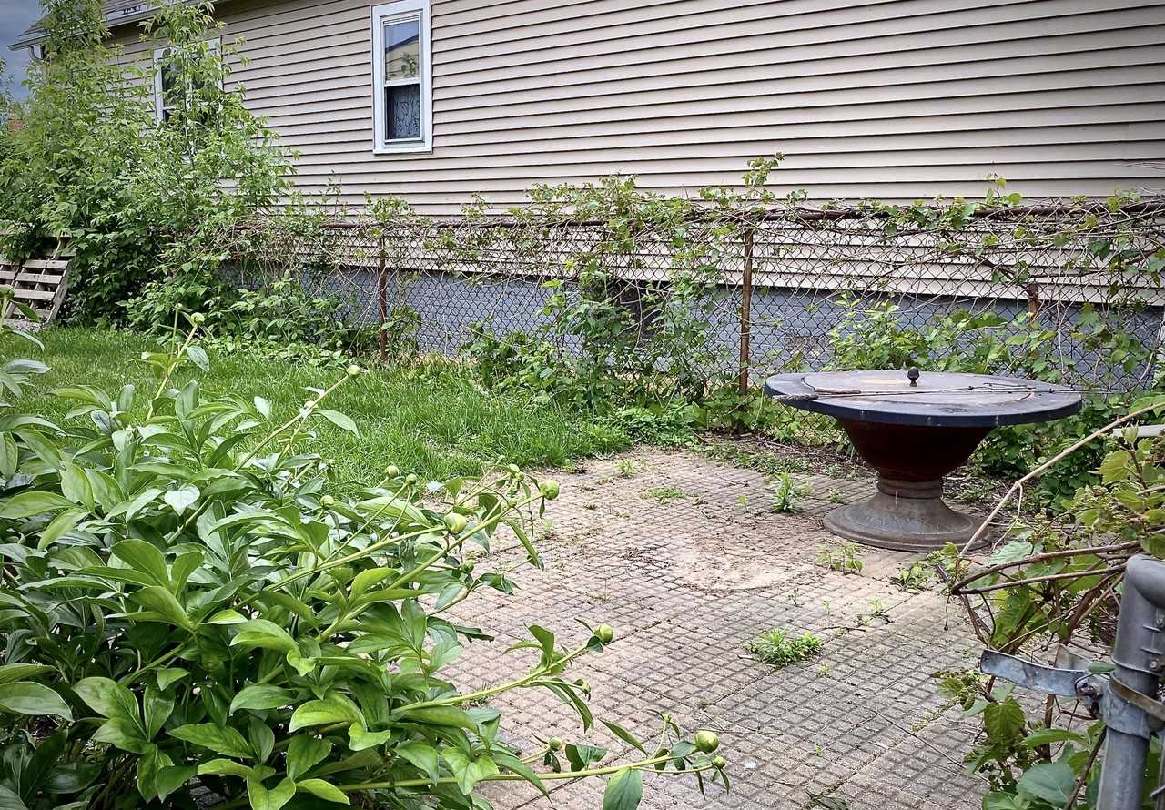 1834 N Humboldt Ave - Photo 4 of 16