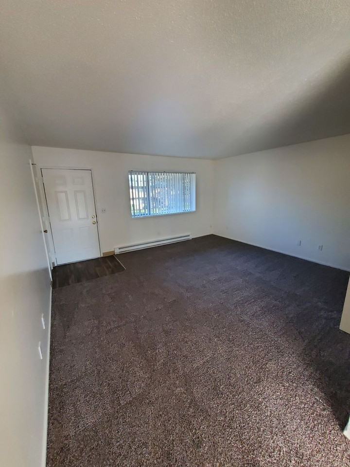 3930 Iberis St Ne - Photo 5 of 17