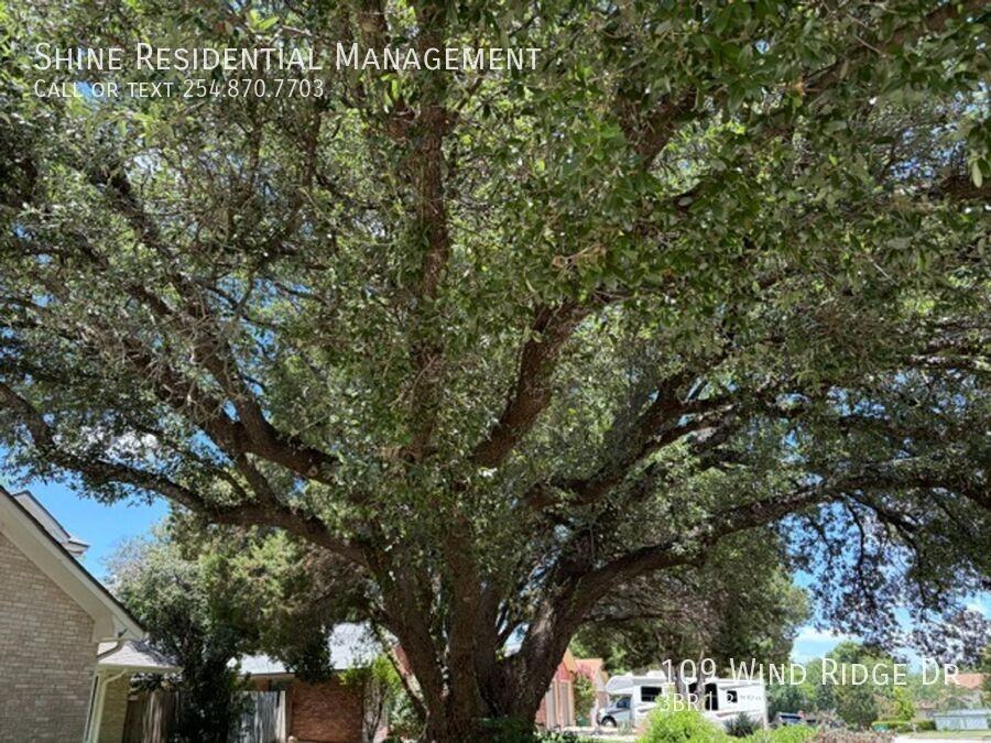 109 Wind Ridge Dr - Photo 4 of 36