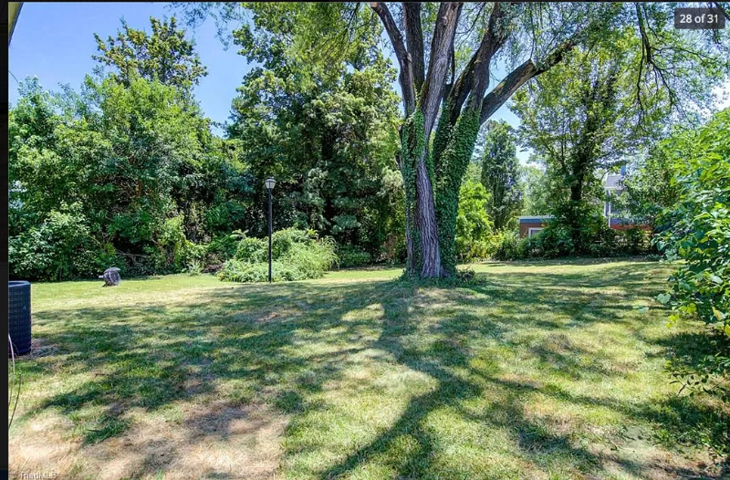 1602 E Lexington Ave - Photo 4 of 20