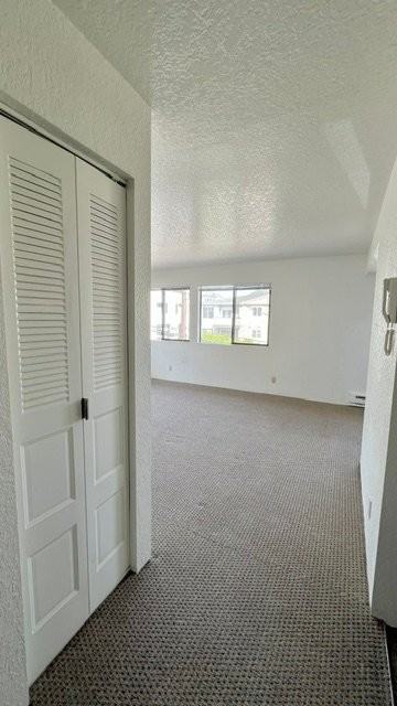 3933 1st Ave Ne #312 - Photo 3 of 7