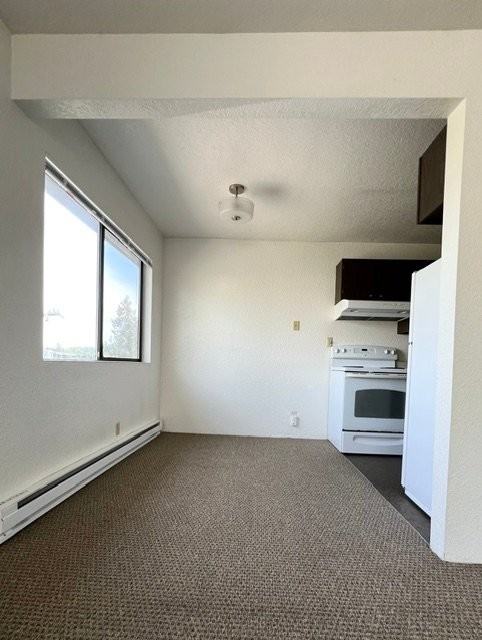 3933 1st Ave Ne #312 - Photo 4 of 7