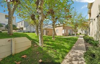 820 Casanova Ave - Photo 1 of 1