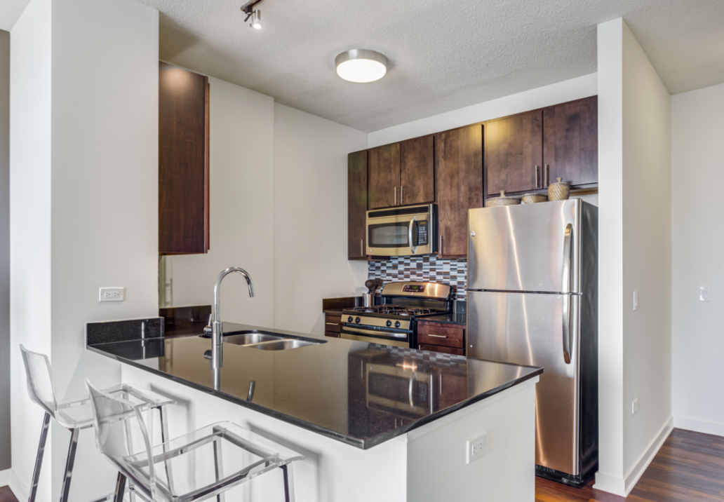 350 N Halsted St #201 - Photo 4 of 13