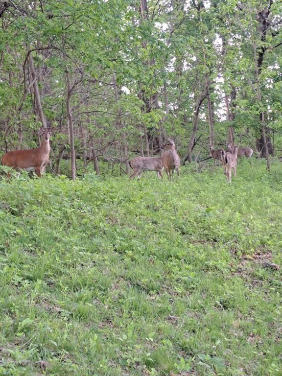 164 N Park St - Photo 2 of 16