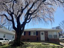 7336 Lansdowne Ave #NA - Photo 1 of 1