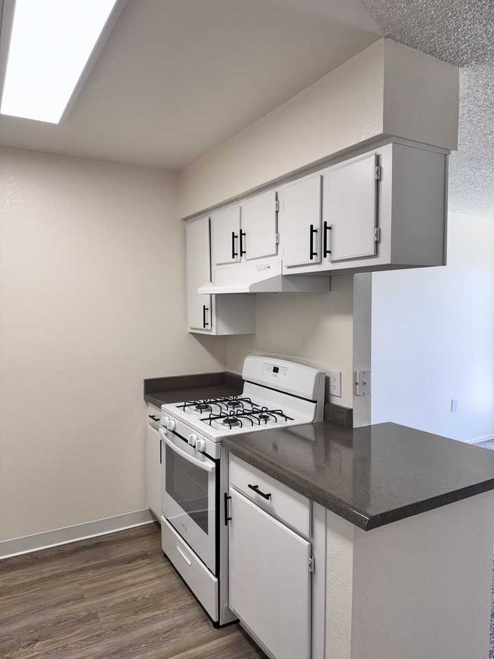 9777 N. Thornydale Road7207 #7207 - Photo 6 of 49