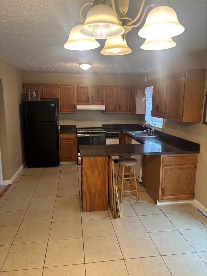 709 Chert Ln - Photo 6 of 16