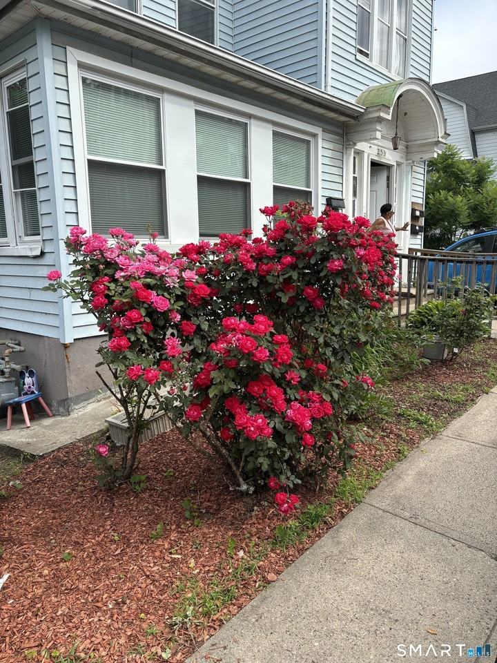 249 Lincoln St - Photo 2 of 8