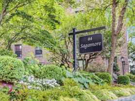 64 Sagamore Rd #A6 - Photo 1 of 1