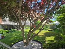 4055 Wickham Ave #1 - Photo 1 of 1