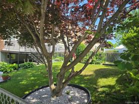 4055 Wickham Ave #1 - Photo 1 of 1