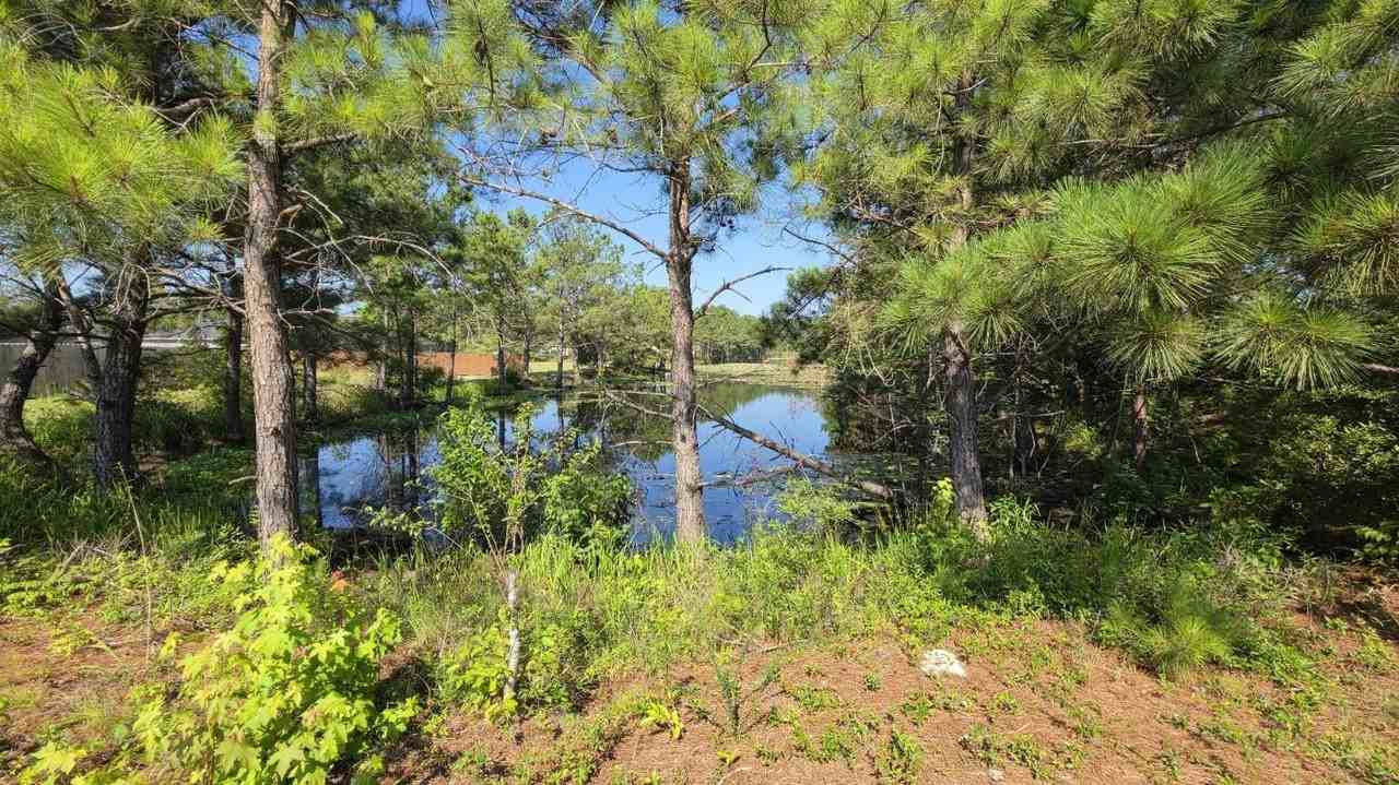 588 Brushwood Dr - Photo 3 of 37