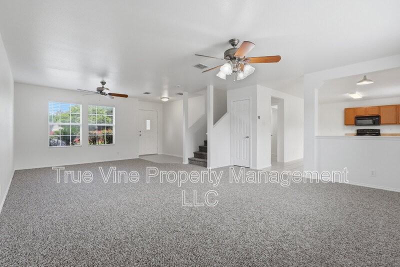 136 Texas Mulberry - Photo 3 of 30