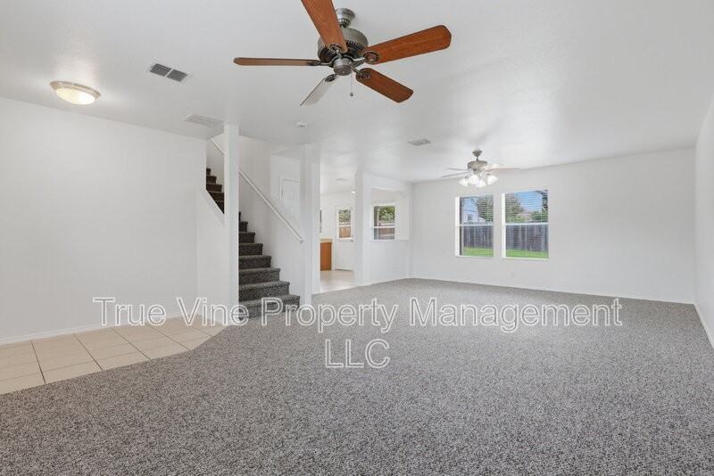 136 Texas Mulberry - Photo 4 of 30