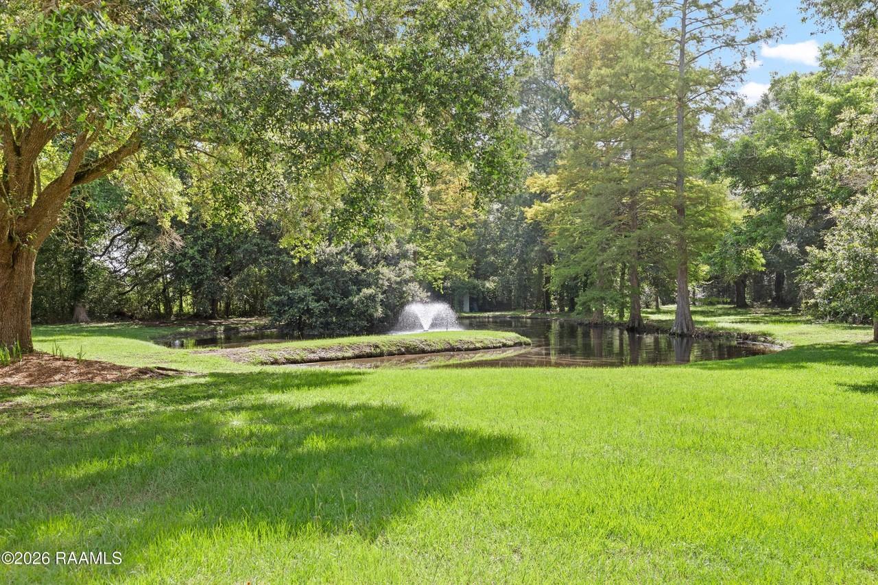 2407 E Broussard Rd - Photo 4 of 39