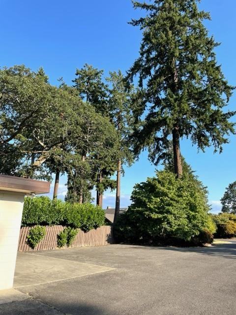 8728 Frances Folsom St Sw - Photo 2 of 40
