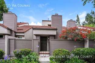 1025 Via Colinas - Photo 1 of 1