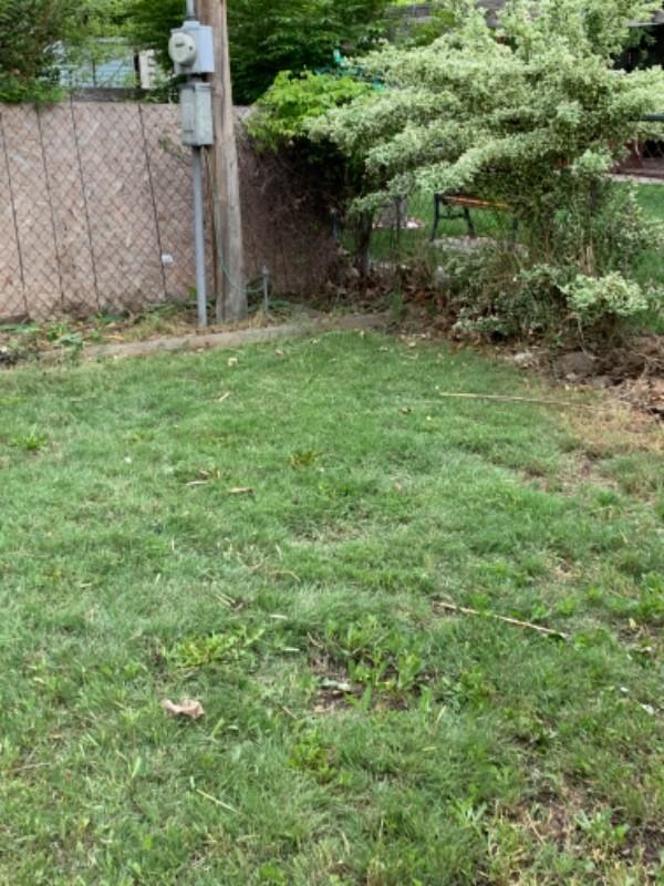 524 E Elgin St - Photo 7 of 12