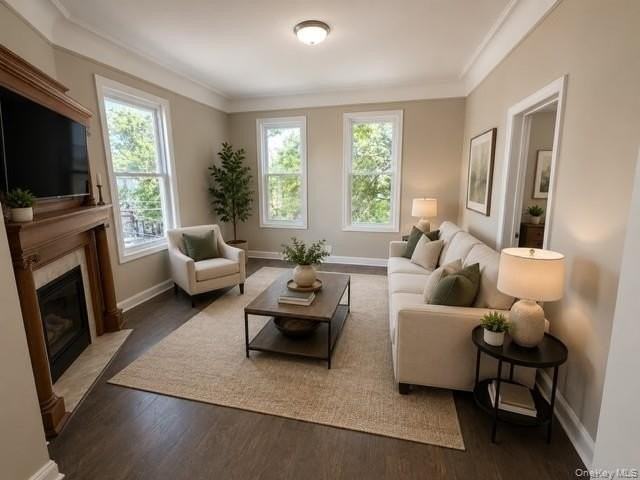 667 Morris Park Ave - Photo 7 of 15