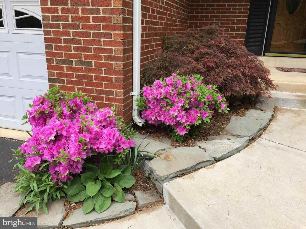 8019 Daffodil Ct #1 - Photo 5 of 40