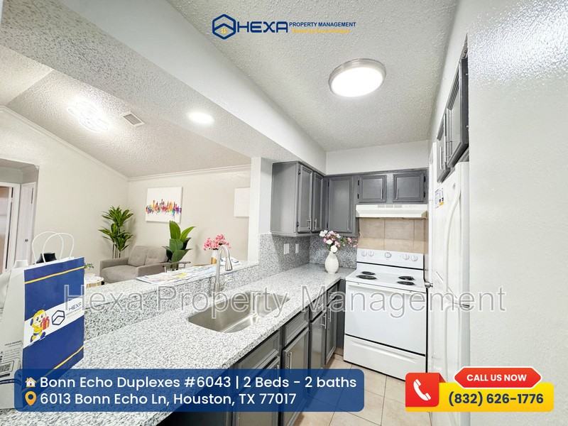 6043 Bonn Echo Ln - Photo 3 of 11