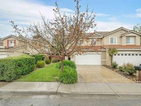 437 Calle Cerro - Photo 1 of 1