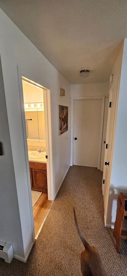 729 Halbert St #3 - Photo 6 of 11