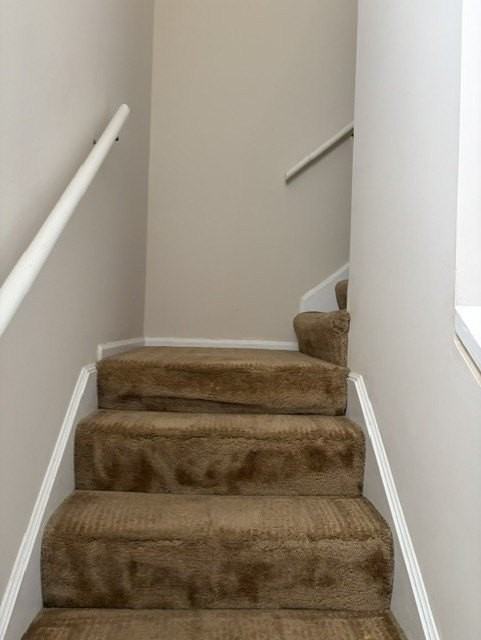 124 Governor Berkeley Rd Apt 11 - Photo 4 of 33