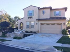featured image of 2312 Costa Rugosa