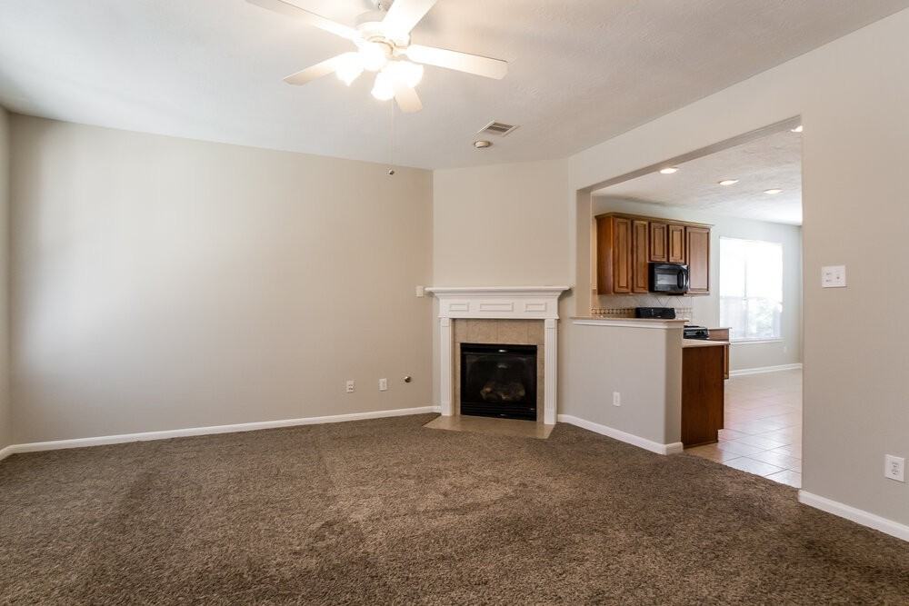 17251 Mitchell Pass Ln - Photo 2 of 15