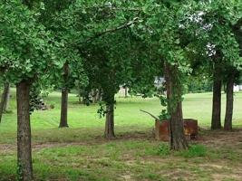 featured image of 854 Hoyt Rd