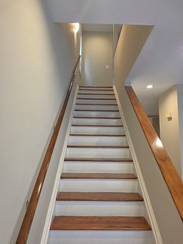 1708 South Desplaines Street #1 - Photo 6 of 14