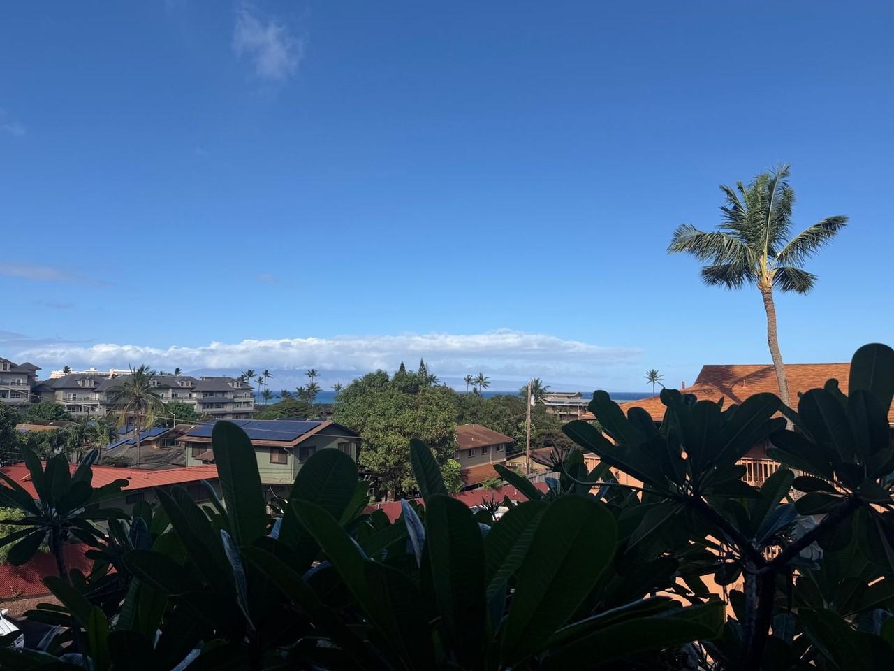 3740 Lower Honoapiilani Rd - Photo 5 of 23