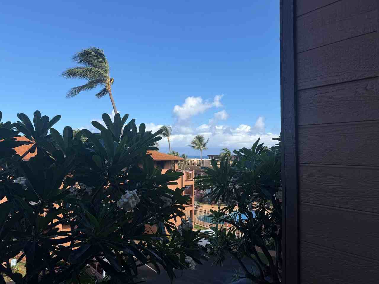 3740 Lower Honoapiilani Rd - Photo 6 of 23