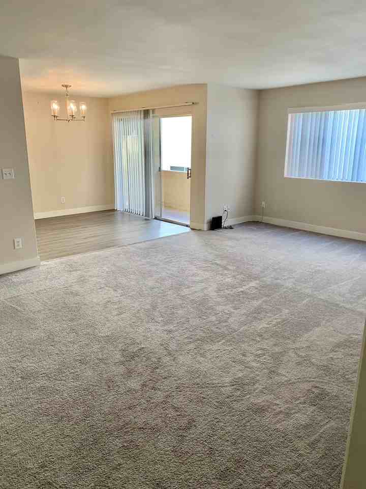 Park Vista Apartments - Photo 4 of 50