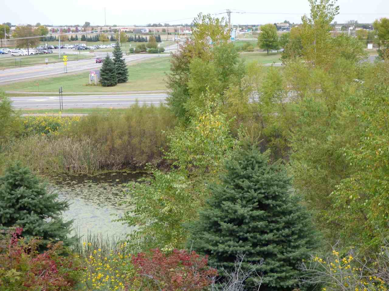 5793 Mount Curve Blvd - Photo 4 of 9