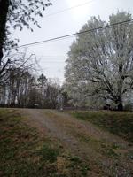 featured image of 95 Eller Ford Rd