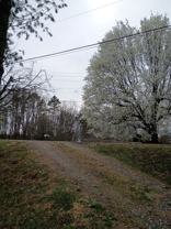 95 Eller Ford Rd - Photo 1 of 1