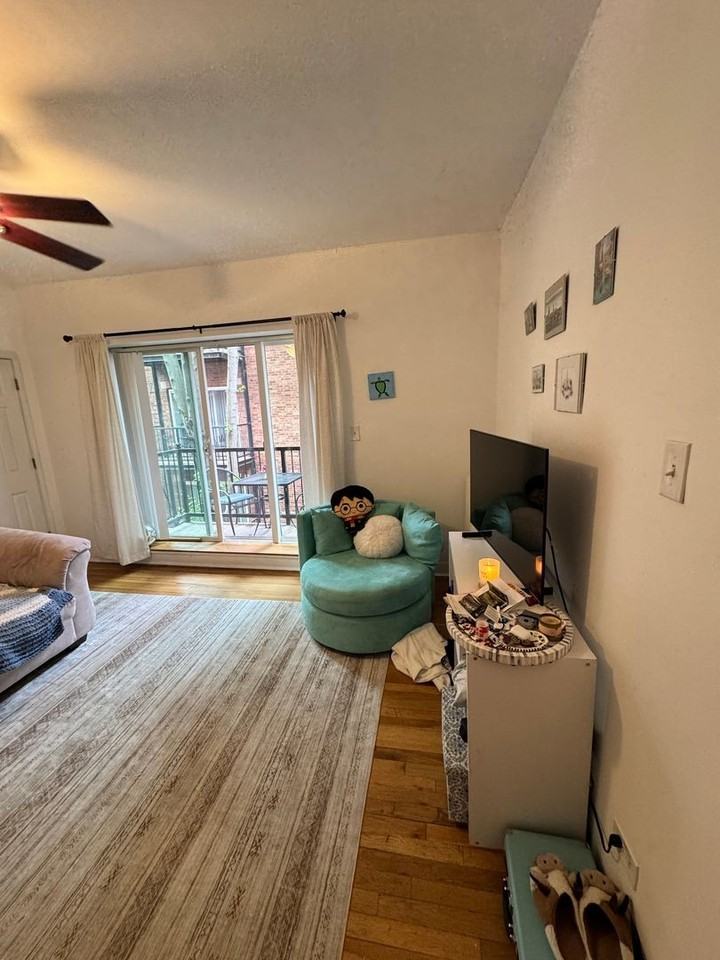 513 W Deming Pl #2N - Photo 4 of 17